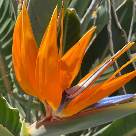 Numancia 1- 3a Apartment