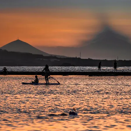 Apartment Numancia 1- 3a